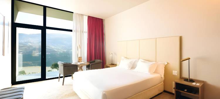 杜罗宫水疗度假村酒店(Douro Palace Hotel Resort & Spa)图片