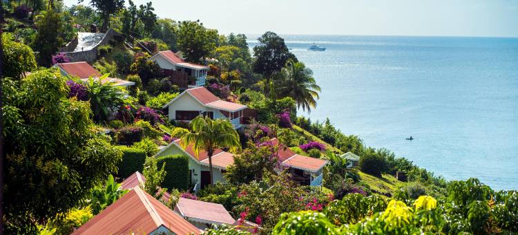 蒂凯伊水疗度假村(Ti Kaye Resort & Spa)图片