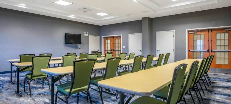 万枫塔彭斯普林斯霍勒德酒店及套房(Fairfield Inn & Suites Holiday Tarpon Springs)图片