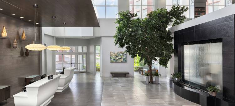 洛特爱斯丽希尔顿安泊酒店(Embassy Suites by Hilton Charlotte Ayrsley)图片