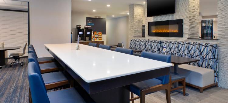 安阿伯西智选假日套房酒店(Holiday Inn Express & Suites ANN ARBOR WEST by IHG)图片