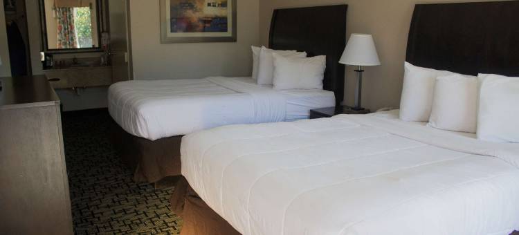 SureStay Hotel by Best Western North Myrtle Beach图片