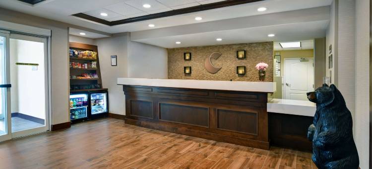 威尔顿舒适套房酒店(Comfort Inn & Suites)图片