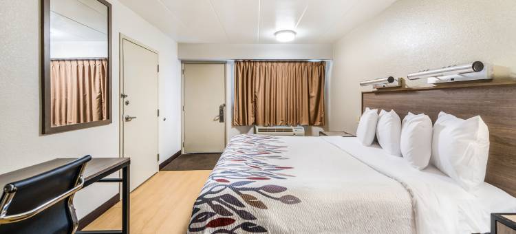 迈阿密斯堡代顿南红顶酒店(Red Roof Inn Dayton South - Miamisburg)图片