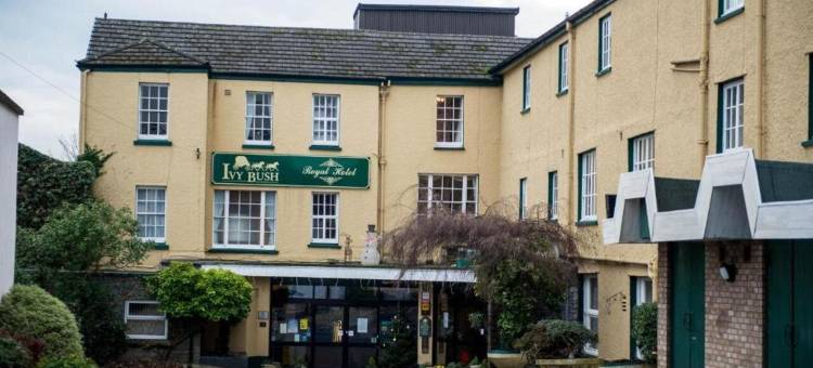 康帕斯酒店集团常春藤布什皇家酒店(Ivy Bush Royal Hotel by Compass Hospitality)图片