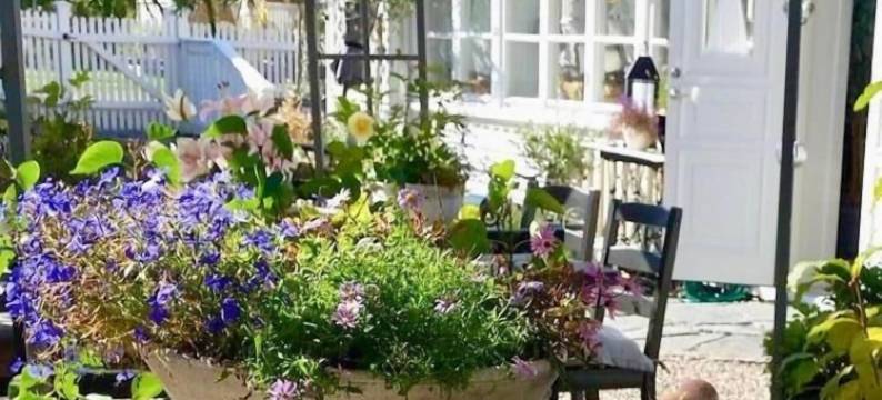 维京酒店(Hotell Viking)图片