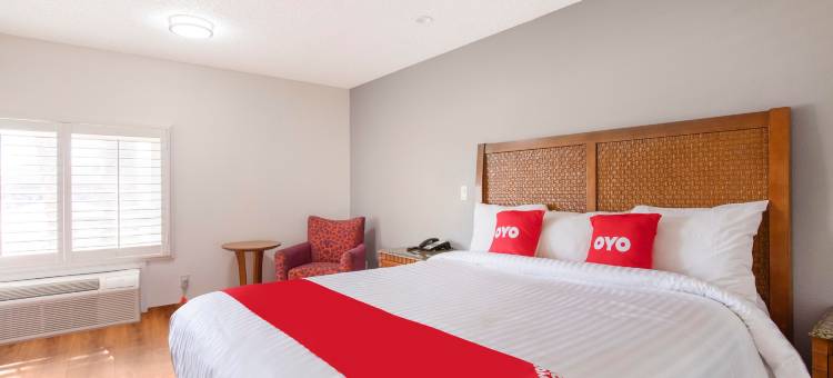 帕姆代尔酒店 - 羚羊谷(Hotel Palmdale - Antelope Valley)图片
