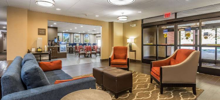 舒适套房酒店(Comfort Inn & Suites)图片