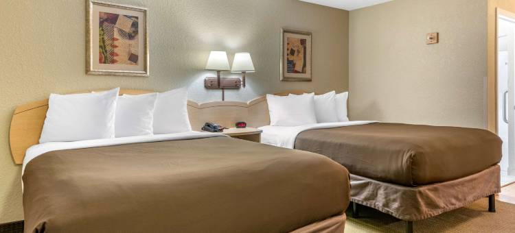 伯奇山套房南本德(Birch Hill Suites - South Bend)图片