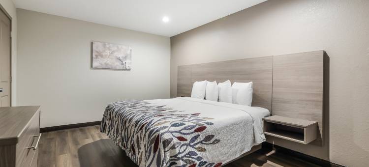 野生林品质酒店套房- 村庄(Quality Suites Wildwood - the Villages)图片