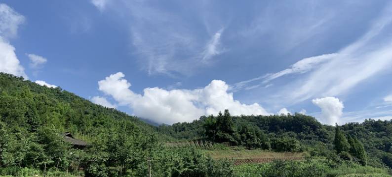 伴山院子度假别墅图片