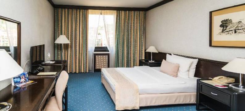 假日酒店(Hotel Holiday)图片