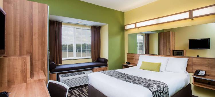 欧佩莱卡麦客达套房酒店(Microtel Inn & Suites by Wyndham Opelika)图片