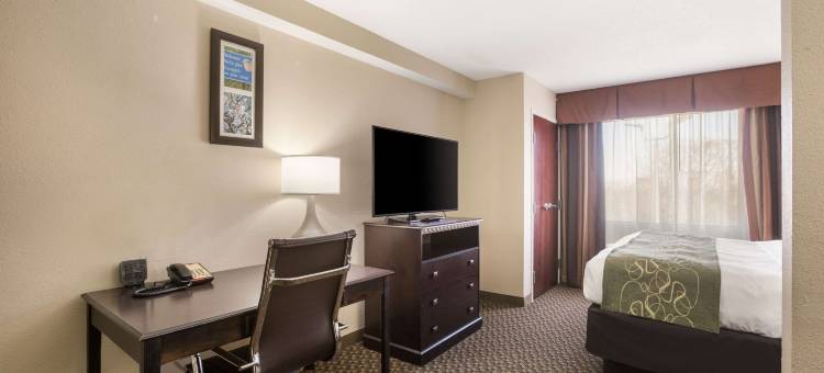 舒适套房酒店-近福赛斯I-75号(Comfort Suites Forsyth near I-75)图片