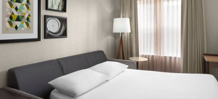 坦帕奥德玛律Residence Inn 酒店(Residence Inn Tampa Oldsmar)图片