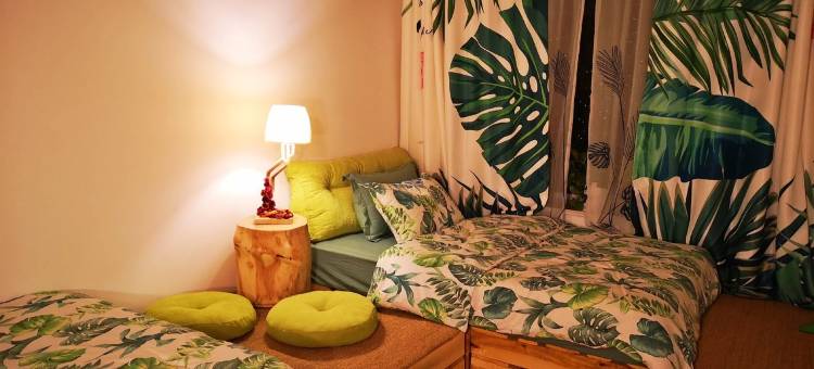 洋土豆院子客栈(滨河大道2号分店)图片