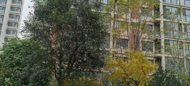 馨苑小居公寓(站前街分店)图片