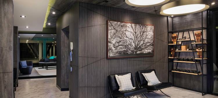 R照片酒店(R Photo Hotel)图片