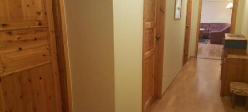 司格思帆格弗瑞酒店(Skeisvang Gjestgiveri)图片