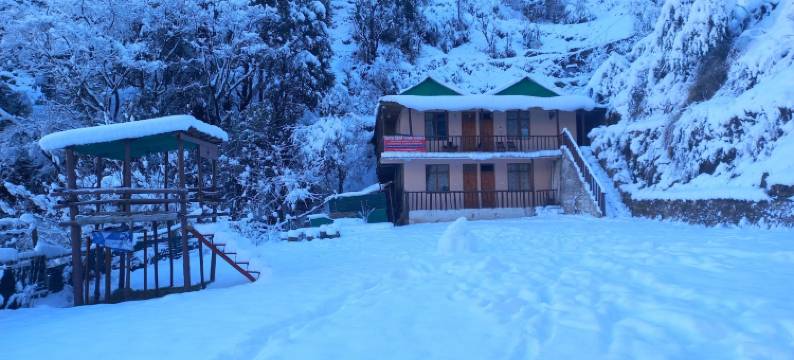 雪莲花民宿(Snow Drop Home Shimla)图片