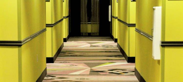 希尔顿欢朋旅馆，位于利斯维尔，靠近波尔克堡(Hampton Inn by Hilton Leesville Fort Polk)图片