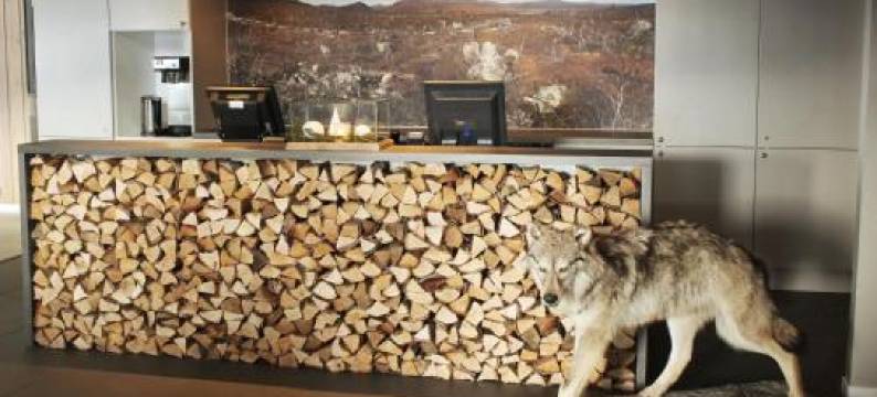 霍武登菲尔里斯托亚宾馆(Hovden Fjellstoge)图片