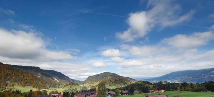 奈贝尔霍恩布里克林酒店(Ringhotel Nebelhornblick)图片