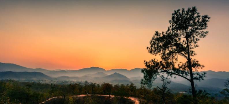 紫色猴子旅馆(Purple Monkey Guesthouse)图片