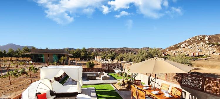 瓜达卢佩谷精品酒店和水疗中心(Hotel Boutique Valle de Guadalupe & Spa)图片