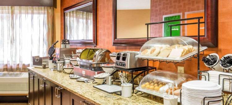 大学舒适酒店(Comfort Inn University)图片