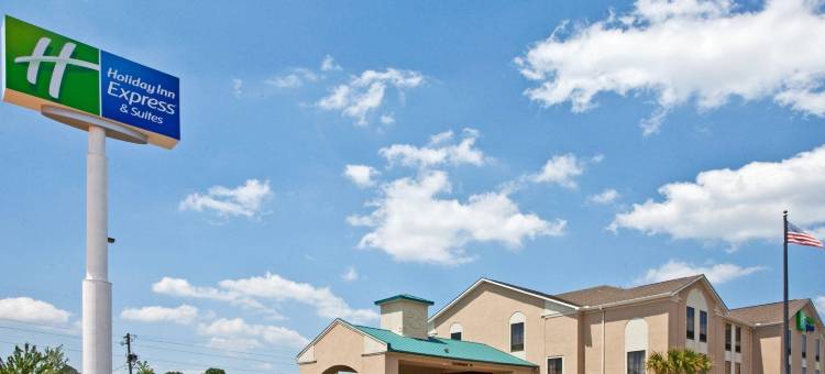 智选假日套房酒店米尔顿(Holiday Inn Express & Suites Milton East I-10)图片