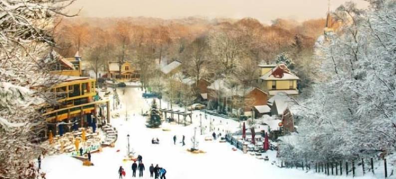 杜恩伯尔克民宿(Duinberk B&B Hotel en Brasserie)图片