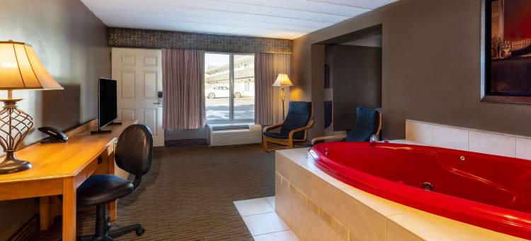 柏奇伦戴斯酒店(Days Inn Birch Run)图片