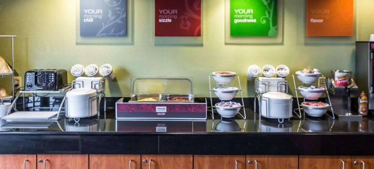 曼纳萨斯战场公园舒适套房酒店(Comfort Suites Manassas Battlefield Park)图片