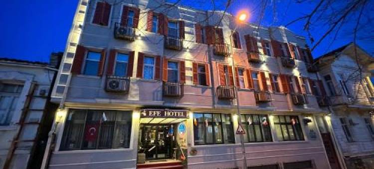 埃迪尔内埃菲酒店(Ak Efe Hotel EDİRNE)图片