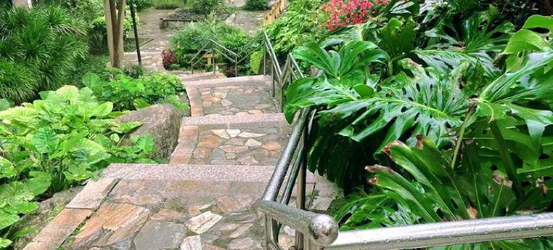 凤管家公寓(东盟大道分店)图片