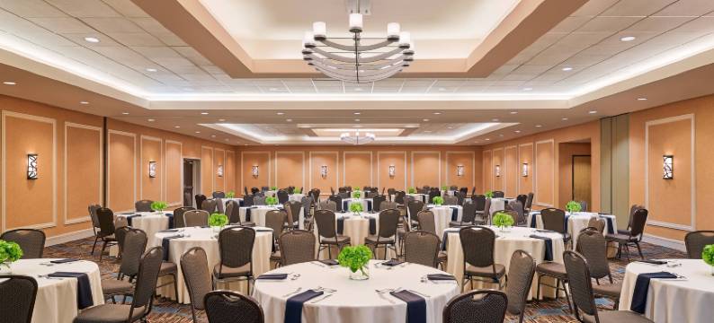 北休斯顿乔治布什洲际机场喜来登酒店(Sheraton North Houston at George Bush InterContinental)图片