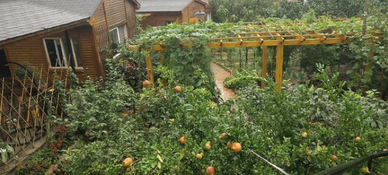 山间小筑特色木屋三居室别墅(文阳路分店)图片