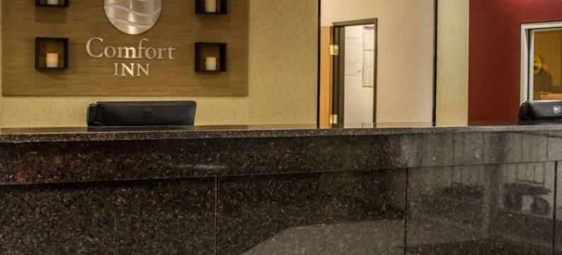 布尔什瑞昂舒适酒店(Comfort Inn)图片