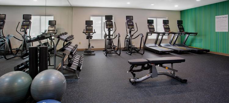 卡蒂智选假日酒店(Holiday Inn Express & Suites Houston West - Katy)图片