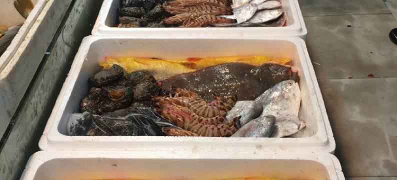 霞浦北岐老船长民宿(体育北路分店)图片