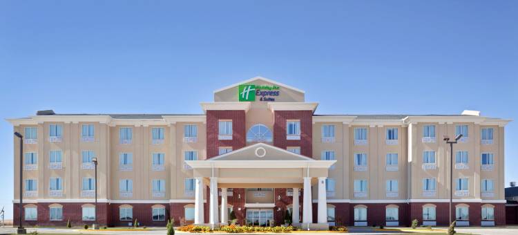 杜马智选假日酒店及套房(Holiday Inn Express & Suites Dumas)图片