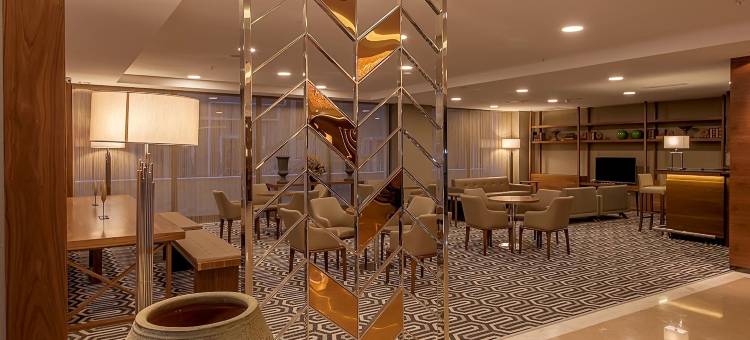 安卡拉海葵酒店(Anemon Kent Ankara Otel)图片
