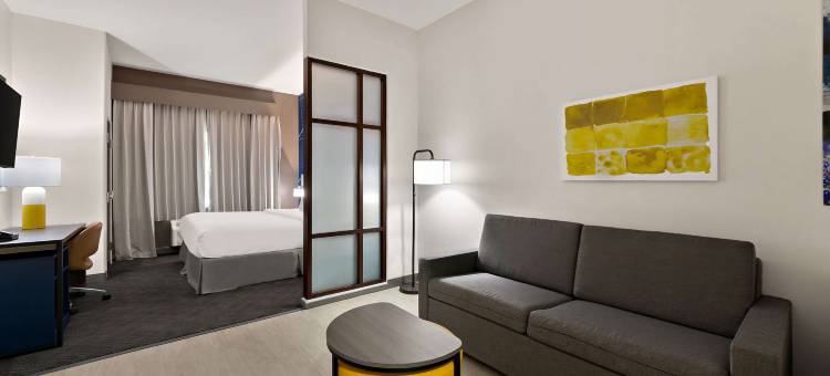 舒适套房酒店(Comfort Suites)图片
