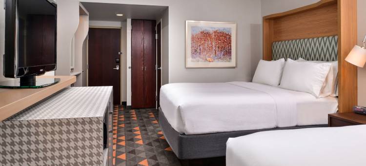 Holiday Inn & Suites 罗切斯特 - 市场(Holiday Inn & Suites Rochester - Marketplace)图片