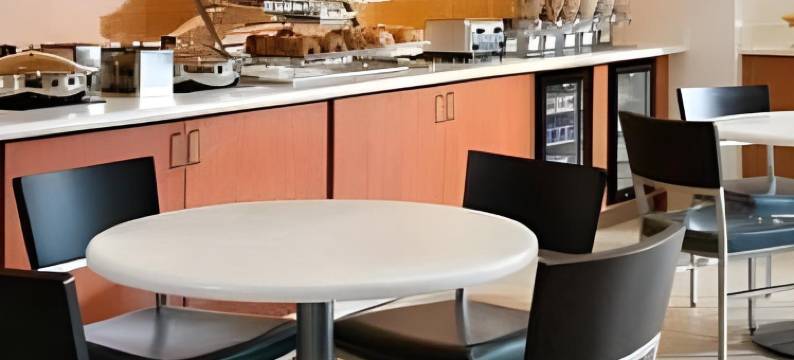 阿什本杜勒斯北SpringHill套房酒店(SpringHill Suites Ashburn Dulles North)图片