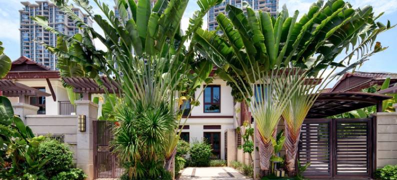 清水湾淘乐美宿公寓(清水湾大道4号分店)图片