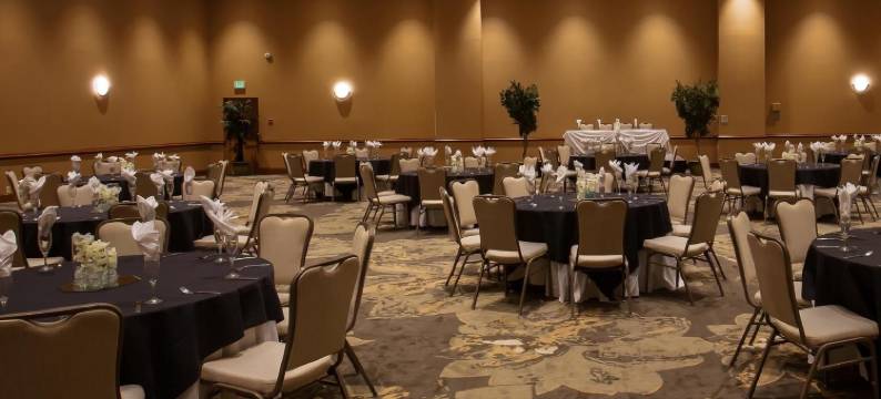 巴尔的摩北派克斯维尔希尔顿逸林酒店(DoubleTree by Hilton Baltimore North - Pikesville)图片