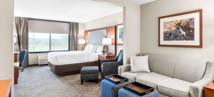 芒特艾恩-弗吉尼亚舒适套房酒店(Comfort Inn & Suites Mountain Iron and Virginia)图片