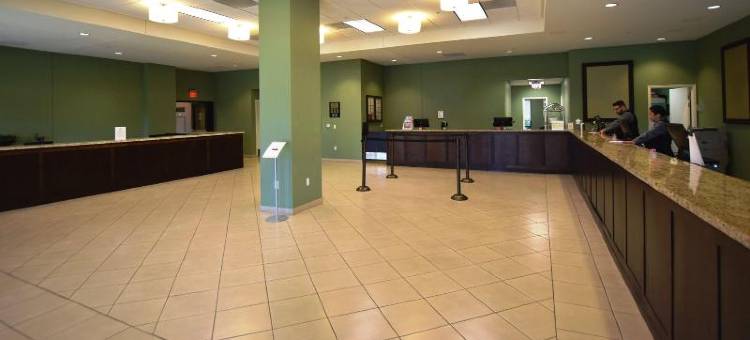 拉斯维加斯伯克利公寓式酒店(The Berkley, Las Vegas)图片